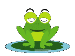 frog 1763409201 Bounce house #4